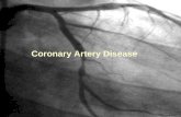 Coronary Artery Disease. What is coronary artery disease? A narrowing of the coronary arteries that prevents adequate blood supply to the heart muscle.