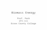 Biomass Energy Prof. Park UTI-111 Essex County College.