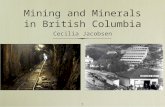 1 Mining and Minerals in British Columbia Cecilia Jacobsen.