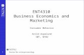 1 ENT4310 Business Economics and Marketing Consumer Behavior Arild Aspelund IØT, NTNU.