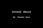 Animal Abuse By: Parker Horn. The Problem Animal Abuse is only rarely reported. 65.5% involve dogs, 18% involve cats, 25% involved other animals (“Animal.