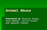 Animal Abuse Presented by Chuying Zhang, Sina Ahmadi, Cecily Keihn, and Spencer Varner.