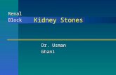 Kidney Stones Dr. Usman Ghani Renal Block. OverviewOverview Introduction Introduction Conditions causing kidney stone formation Conditions causing kidney.