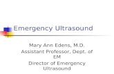 Emergency Ultrasound Mary Ann Edens, M.D. Assistant Professor, Dept. of EM Director of Emergency Ultrasound.