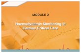 MODULE 2 Haemodynamic Monitoring in Cardiac Critical Care.