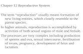 Chapter 12 Reproductive System The term “reproduction” usually means formation of new living entities, which closely resemble to the parent species. In.