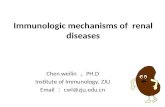 Immunologic mechanisms of renal diseases Chen weilin ， PH.D Institute of Immunology, ZJU Email ： cwl@zju.edu.cn.