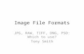Image File Formats JPG, RAW, TIFF, DNG, PSD: Which to use? Tony Smith.