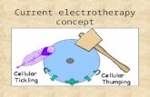 Current electrotherapy concept. Micro Current (MET) in Physiotherapy Dj.  ,MICP.,MISCP. PMR Hospital