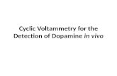 Cyclic Voltammetry for the Detection of Dopamine in vivo.