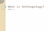 What is Anthropology? Unit 1. Human Diversity Anthropologists study humans – wherever and whenever they find them ◦ Rural Kenya ◦ Turkish café ◦ Mesopotamian.
