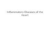Inflammatory Diseases of the Heart. Objectives Describe inflammatory disorders of the cardiovascular system Explain the pathophysiology of common inflammatory.