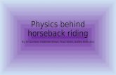 Physics behind horseback riding By: Bri Lamora, Mckinzie Simon, Traci Smith, Ashley Archuleta.