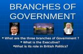 BRANCHES OF GOVERNMENT What are the three branches of Government ? What are the three branches of Government ? What is the Executive? What is the Executive?