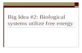 Big Idea #2: Biological systems utilize free energy.