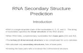 RNA Secondary Structure Prediction Introduction RNA is a single-stranded chain of the nucleotides A, C, G, and U. The string of nucleotides specifies the.