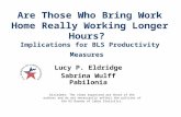Are Those Who Bring Work Home Really Working Longer Hours? Implications for BLS Productivity Measures Lucy P. Eldridge Sabrina Wulff Pabilonia Dislaimer: