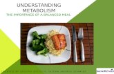 UNDERSTANDING METABOLISM THE IMPORTANCE OF A BALANCED MEAL CREATED BY SODEXO DIETETIC INTERN ANDREA SCHMIDT.