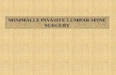 MINIMALLY INVASIVE LUMBAR SPINE SURGERY. Minimally Invasive Lumbar Spine Surgery What is MISS ?