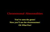 Chromosomal Abnormalities You’ve seen the genes! Now you’ll see the chromosomes! Oh What Fun!