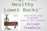 ‘Yoga for Healthy Lower Backs’ Specialist yoga programme used in RCT research Alison Trewhela & Anna Semlyen.
