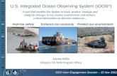 U.S. Integrated Ocean Observing System (IOOS ® ) Zdenka Willis Director, US IOOS Program Office Improve safetyEnhance our economyProtect our environment.