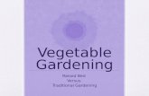 Vegetable Gardening Raised Bed Versus Traditional Gardening.
