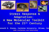 Stress Response & Adaptation: A New Molecular Toolkit for the 21 st Century Kenneth B. Storey, Carleton University, Ottawa, Canada kbstorey.
