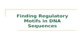 Finding Regulatory Motifs in DNA Sequences. Motifs and Transcriptional Start Sites gene ATCCCG gene TTCCGG gene ATCCCG gene ATGCCG gene ATGCCC.