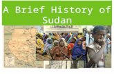A Brief History of Sudan. Napatan Phase: “The Golden Age” Egyptian political, cultural, and economic influence was prominent in the early history of Sudan.