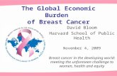 The Global Economic Burden of Breast Cancer David Bloom Harvard School of Public Health November 4, 2009 Breast cancer in the developing world: meeting.