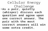 Cellular Energy Challenge As a pair, quietly (whisper) discuss each question and agree upon one correct answer. The pair with the most correct answers.