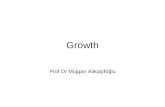 Growth Prof Dr Müjgan Alikaşifoğlu. Why growth is important? Which factors influence growth Fetal and postnatal growth (height, weight) Statistics used.