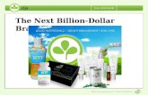 The Next Billion-Dollar Brand. Getting to know Zija Lindon, Utah, USA November 2006 Debt Free Company NOW: US, Canada, Mexico, Japan Zija Momentum 2010.
