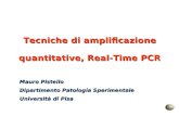 Tecniche di amplificazione quantitative, Real-Time PCR Mauro Pistello Dipartimento Patologia Sperimentale Università di Pisa.