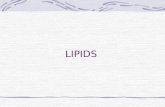 LIPIDS. THE LIPID FAMILY ORGANIC COMPOUNDS INSOLUBLE IN WATER INCLUDE: TRIGLYCERIDES PHOSPHOLIPIDS STEROLS.