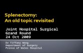 Joint Hospital Surgical Grand Round 24 Oct 2009 Dr Tiffany Wong Department of Surgery Prince of Wales Hospital.
