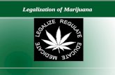 Legalization of Marijuana. Overview Lowering of Crime Economic Reasons Safety Other Drugs People's Rights Medical Benefits.