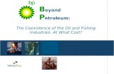 F B eyond P etroleum: The Coexistence of the Oil and Fishing Industries: At What Cost?