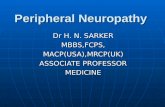 Peripheral Neuropathy Peripheral Neuropathy Dr H. N. SARKER MBBS,FCPS,MACP(USA),MRCP(UK) ASSOCIATE PROFESSOR MEDICINE.
