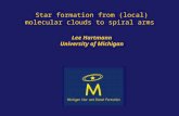Star formation from (local) molecular clouds to spiral arms Lee Hartmann University of Michigan.