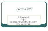 ENTC 4390 Ultrasound . com/ultrasound.htm.