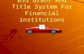 Deputy Registrar 035 Grant And Title System For Financial institutions.