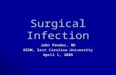 Surgical Infection John Pender, MD BSOM, East Carolina University April 1, 2005.