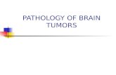 PATHOLOGY OF BRAIN TUMORS. CONTENTS EPIDEMIOLOGY CLASSIFICATION PATHOPHYSIOLOGY IN BRIEF PATHOLOGY OF INDIVIDUAL TUMOR GROUPS DIAGNOSTIC APPROACH RADIOLOGICAL.