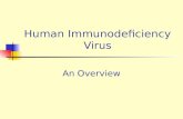 Human Immunodeficiency Virus An Overview. Human Immunodeficiency Virus Acquired Immunodeficiency syndrome first described in 1981 HIV-1 isolated in 1984,