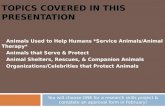 You will choose ONE for a research skills project & complete an approval form in February! Animals Used to Help Humans *Service Animals/Animal Therapy*