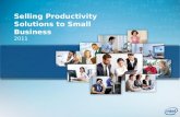 Selling Productivity Solutions to Small Business 2011.