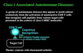 Class I Associated Autoimmune Diseases: Self Antigenic Peptide presented In context of class I MHC T CD8-cell TCR Cognitive Recognition Target Cell A group.