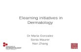 Elearning initiatives in Dermatology Dr Maria Gonzalez Sonia Maurer Nan Zhang.
